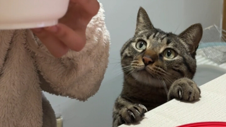 Today’s BaoBao is absolutely adorable!