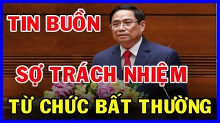 Tin tức nóng và chính xác ngày 11/09|Tin nóng Việt Nam Mới Nhất Hôm Nay/#tintucmoi24h