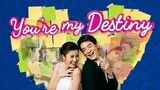 You're My Destiny Episode 7 (TagalogDubbed)