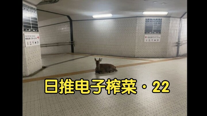 [Thịt chín] Tổng hợp đồ nhắm điện tử được giới thiệu trên Nhật Bản · 22