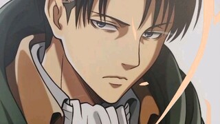 levi