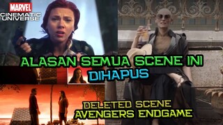 Ini Alasan Kenapa Adegan Avengers Endgame Disney+ Ini Dihapus | Breakdown Deleted Scene Endgame