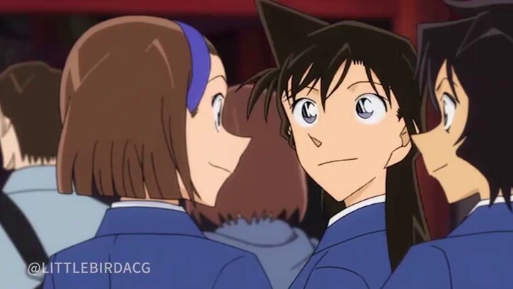 Banyak hal yang saya dapatkan dari Conan dan Shinran Sugar adalah salah satunya!