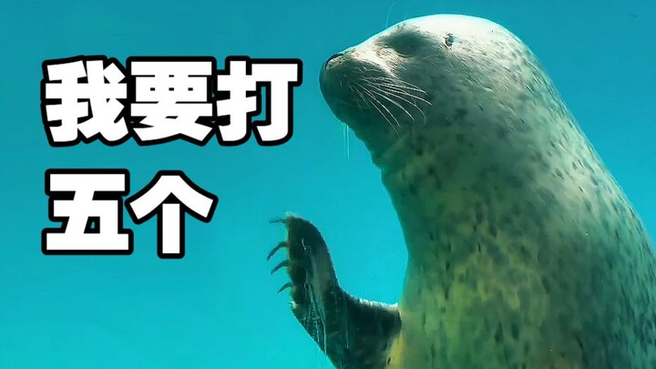 [Animal Voice Acting] Waving isn’t an apology—it’s me asking for five servings of sashimi!