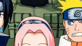 Team7 ♥️