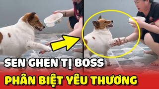 Sen GHEN TỊ với Boss vì SỐNG CHUNG NHÀ mà mẹ phân biệt ĐỐI XỬ 😂 | Yêu Lu