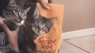 จบแล้ว บุญในวันนี้หัวเราะจนหมดอีกแล้ว!!! #01