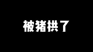 【鬼鬼拆卡】被猪拱了