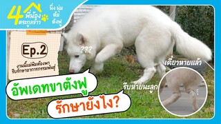 ตังฟูต้องหายดีในเร็ววันแน่นอน - ข้าวนึ่ง & เดอะแก๊ง