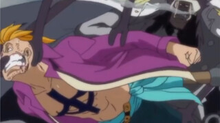 Râu Trắng và Marco trong nháy mắt bị đánh bại, Luffy đành phải nhìn vào thời khắc mấu chốt!