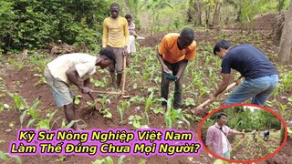 Hướng dẫn team châu phi bón phân cho cây trồng||2Q Vlogs cuộc sống châu phi