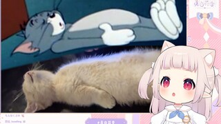 日本萝莉看《猫 和 老 鼠 诚 不 欺 我》看傻眼了