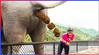 EXTREME Try Not To Laugh Challenge #26