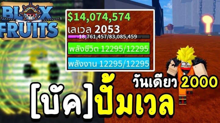 Blox fruit 24 ชั่วโมง บอกจุด บัคปั้ม เลเวล 2000 วันเดียว!