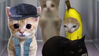 ทิ้งตุ๊กตาไว้ในลิฟต์แล้วแอบปล่อยลม