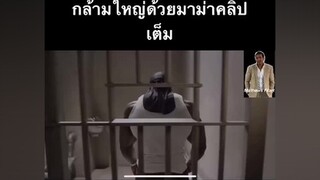 https://www.facebook.com/112874260445772/videos/680266765869783/? ไปดูคลิปเต็มได้ที่ลิงค์นะครับ เพาะกาย ตลกๆ ตลก ยืนเดี่ยว heroathletes