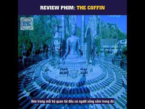 Review Phim : The COFIN