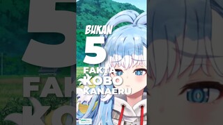 Bukan 5 Fakta VTuber Kobo Kanaeru