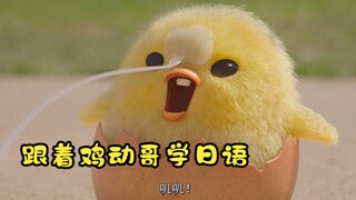 跟着鸡动哥学日语 妈妈篇 超萌小鸡仔找妈妈《蛋黄哥大冒险》混剪