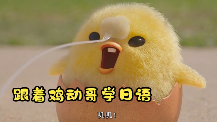跟着鸡动哥学日语 妈妈篇 超萌小鸡仔找妈妈《蛋黄哥大冒险》混剪