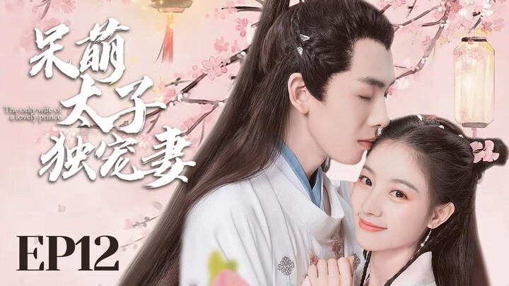 MUTLISUB【呆萌太子独宠妻 cute prince 】▶EP 12 💋豪门傻少爷强取江湖女骗子，一夜逆袭成少奶奶🤳呆萌少爷白天奶狗晚上狼狗让人欲罢不能💐#朱丽岚# 黄天崎# 【尘缘】❤️追剧迷