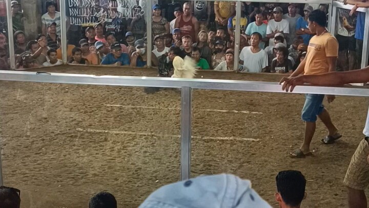 bulag pero panalo