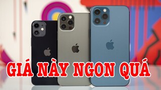 Tư vấn điện thoại iPhone 12 Pro Max giá này thì ngon quá còn gì?