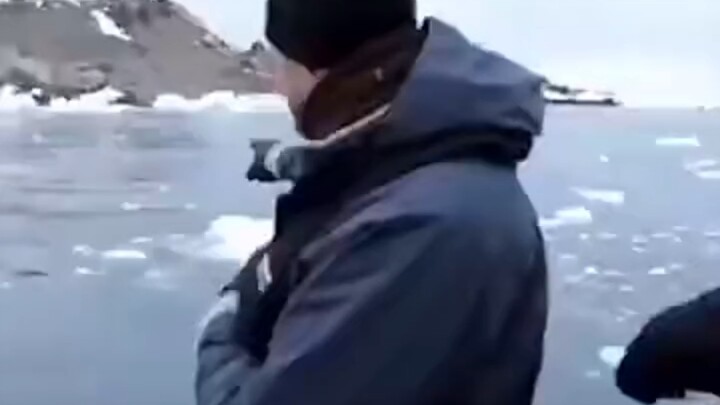 Penguin: Aduh, tendangannya miring