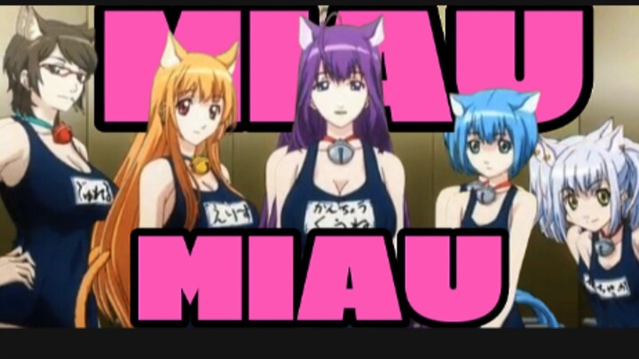 Ketika kamu tinggal satu rumah dengan gadis setengah kucing 🤤📸I asobi ni iku yo