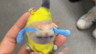 地铁惊现香蕉猫！被踩哭了哈哈