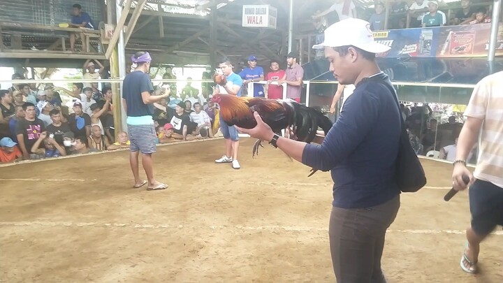completo sa palo kinulang sa swerte