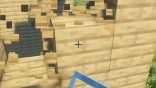 Minecraft: What did you understand from this video?