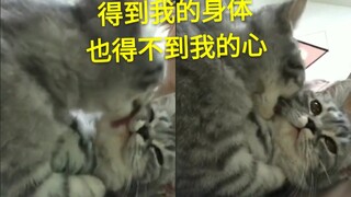 渣猫：我那是馋你的身体，不需要得到你的心