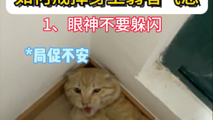 How to Break Free from the "Weak Person Vibe"