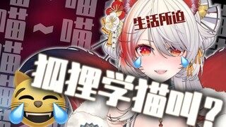日子太难过了，钱太难赚了，狐狸都开始学外语了呜呜