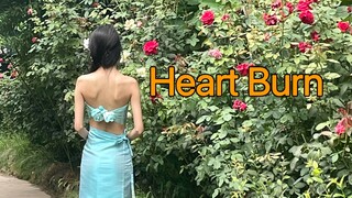 傣族少女版Heart Burn