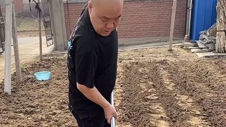 刀酱的日常生活