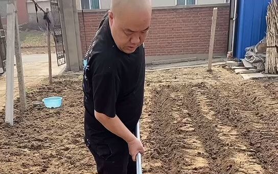 Cuộc sống hàng ngày của Đao Tưởng