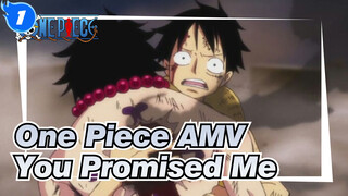 [One Piece AMV] Luffy: Do You Remember We Have an Agreement? You Promised Me... Why..._1