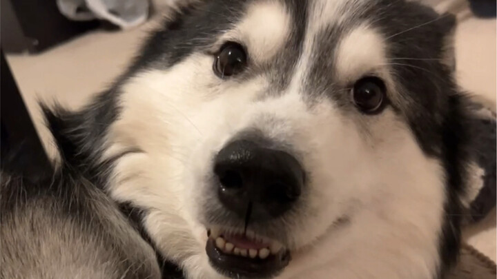 Dengerin mesin We8-ku, semuanya!