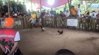 walang sugat si Tagalog, takbo kalaban!!!