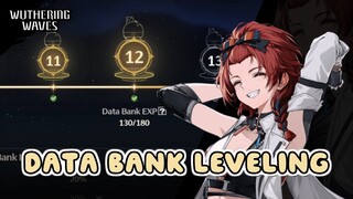 Hajar Echo Jenis Ini Untuk Leveling Cepat Data Bank! | Wuthering Waves