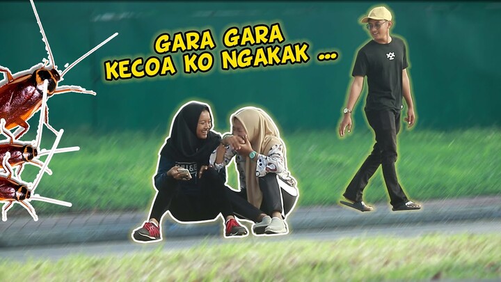 Nyari Binatang Peliharaan Yang Hilang Ko Bikin Ngakak ya HAHA