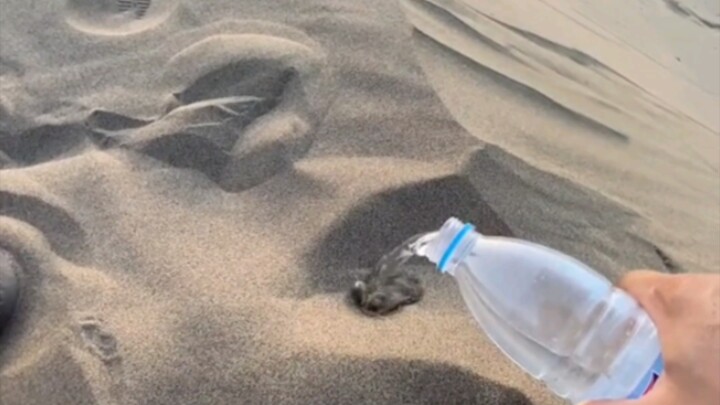It’s a bit like cat litter.
