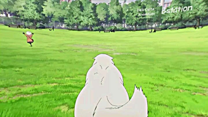 Anya banyak tingkah, sampai ngejungkel - jungkel gitu😣💗