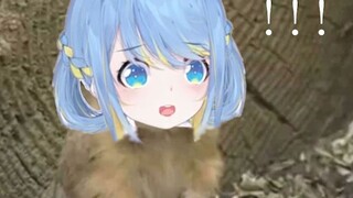 [Fuso Hibiscus] ada di sana? Ini adalah suara aslinya!