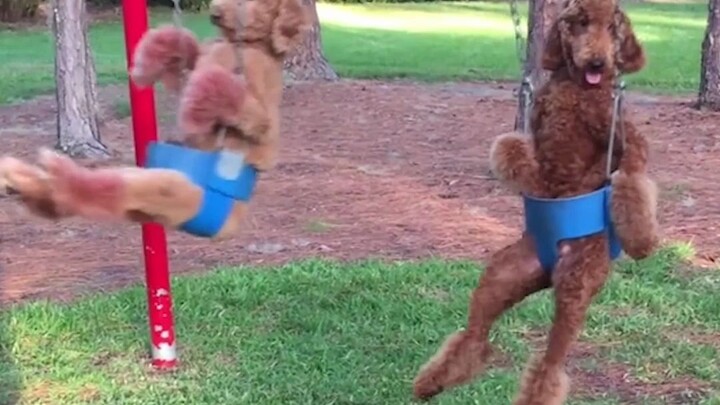 The teacher knows way too much!