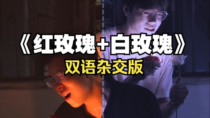 «كيفية تهجين الوردة الحمراء مع الوردة البيضاء»