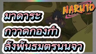 มาดาระกวาดกองกำลังพันธมิตรนินจา