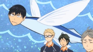 【Haikyuu!】Famous scene: Kageyama Flying Fish